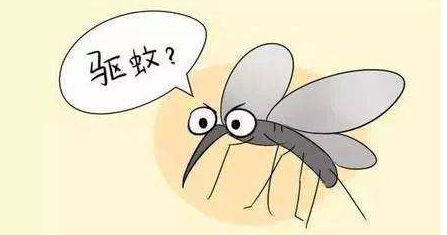 蚊子什么时候出现 蚊子怕什么(一碗水解决蚊子)