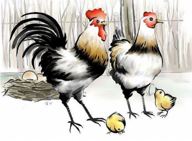 1957年的纳音五行属什么 1957年属鸡的是什么命(属鸡人在2022年的全年运势)